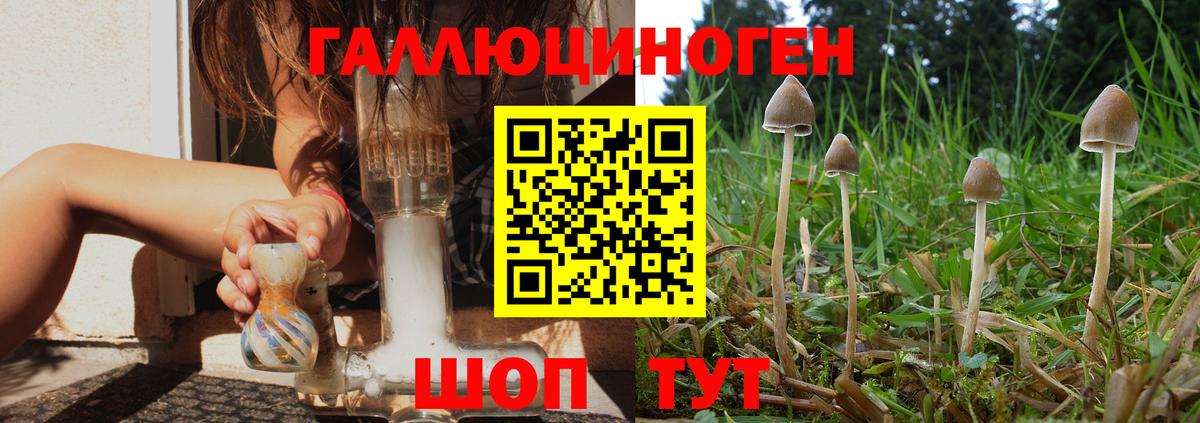Галлюциногенные грибы ЛСД  цены   Куйбышев  Вход с VPN 